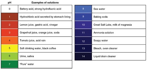 ph scale examples